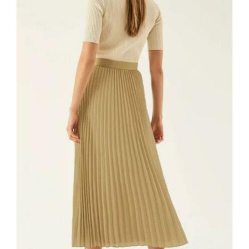 Ivy & oak rok