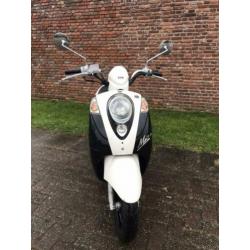 Sym Mio 4 Takt Snorscooter In Nette Staat Met Kenteken!