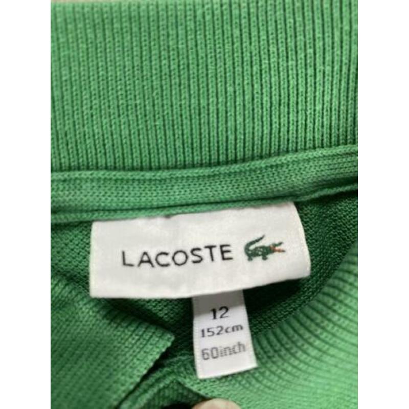 Lacoste polo mt 152 groen