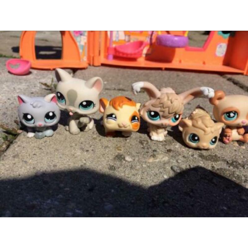 Littlest Pet Shop huis, dieren en extra spullen