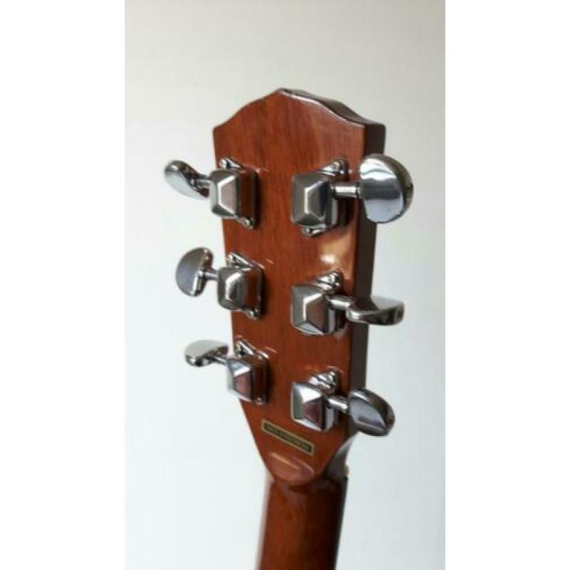 Fender DG4 westerngitaar Speelt licht met nwe snaren en hoes